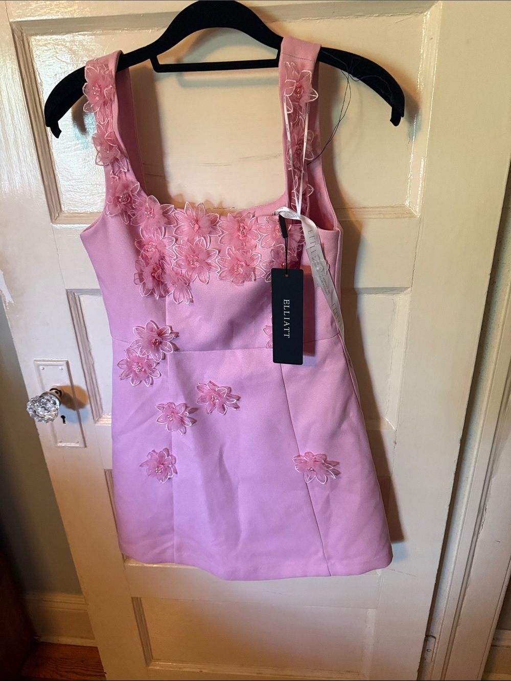 Elliatt Pink Floral Appliqué Mini Dress